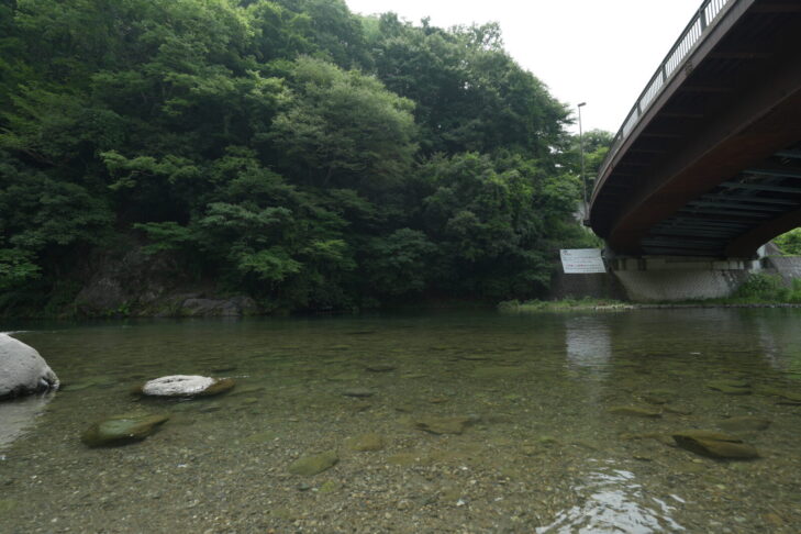 馬渡橋下河川敷の水質