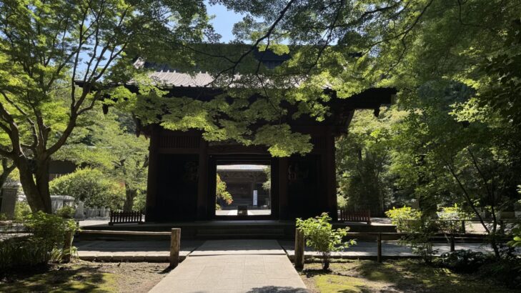 夏の鎌倉・妙本寺
