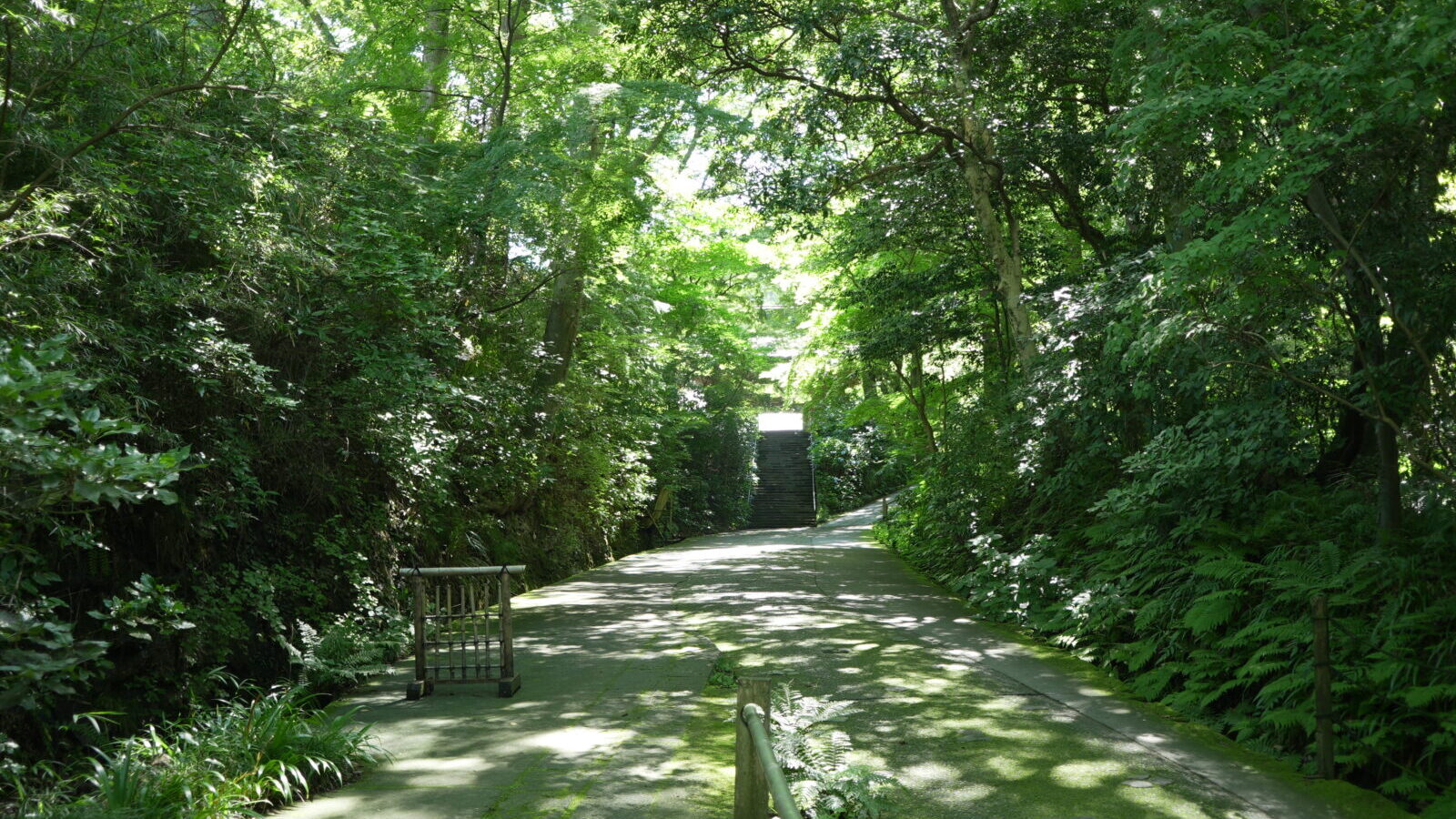 夏の鎌倉・妙本寺
