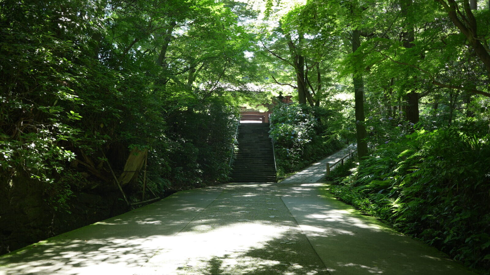 夏の鎌倉・妙本寺
