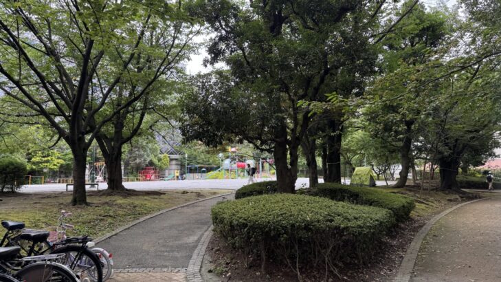 浜町公園の歩道と風景