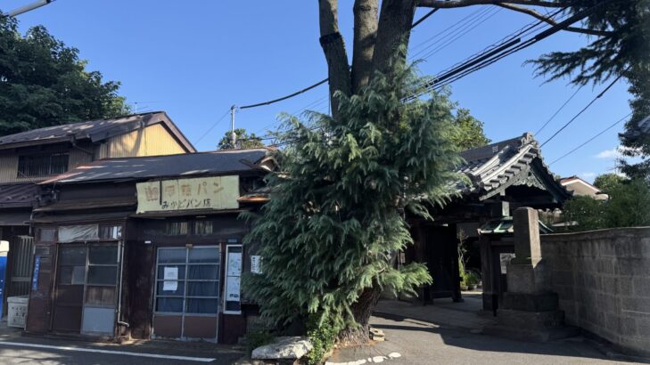 昭和レトロな「みかどパン店」と巨大なヒマラヤ杉