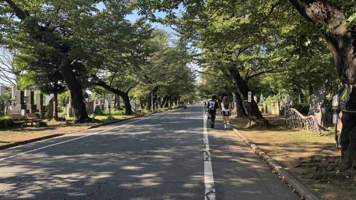 緑豊かで静寂に包まれた谷中霊園の風景